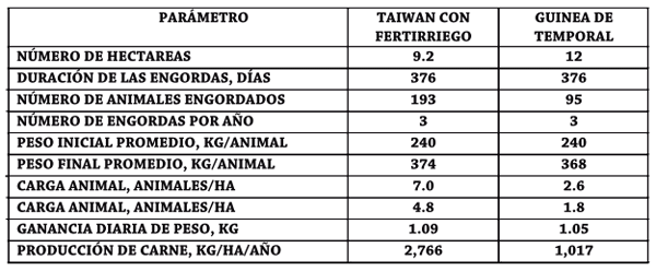 Producción de carne con pastoreo racional intensivo en pasto taiwan con fertirriego y guinea de temporal - Image 6