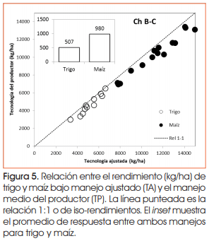 ¿Cómo nutrir sistemas intensificados? Aprendizajes de la Chacra Bragado-Chivilcoy - Image 6