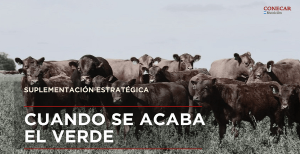 Cuando se acaba el verde - Image 1