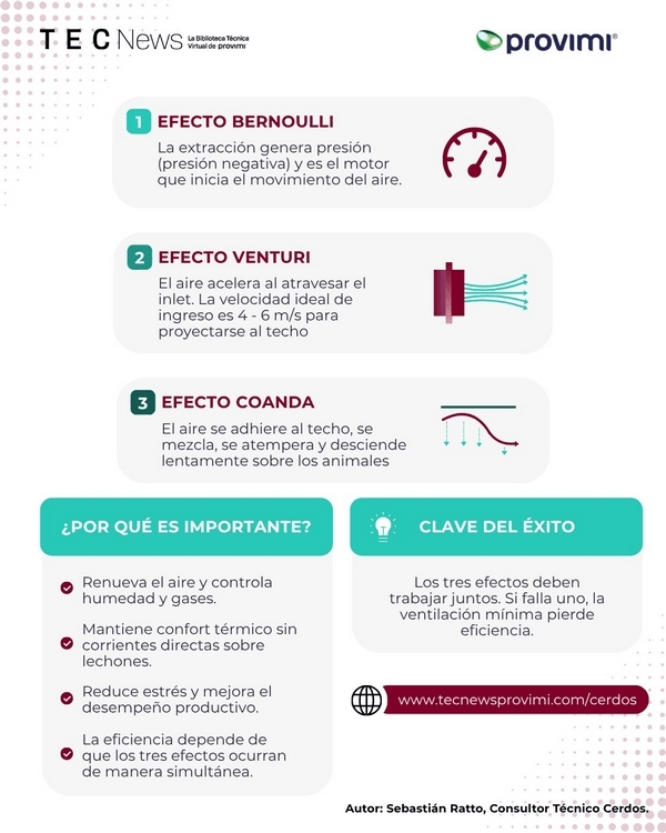 Claves para la ventilación mínima en galpones de lechones - Image 2