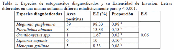 Comportamiento de los parásitos externos en aves (Gallus gallus) de diferentes líneas puras - Image 1