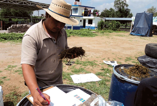 Formulación de mezclas para ensilar