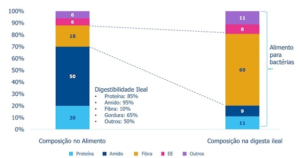 Fibra: Una palabra amplia, confusa y químicamente mal definida - Image 3