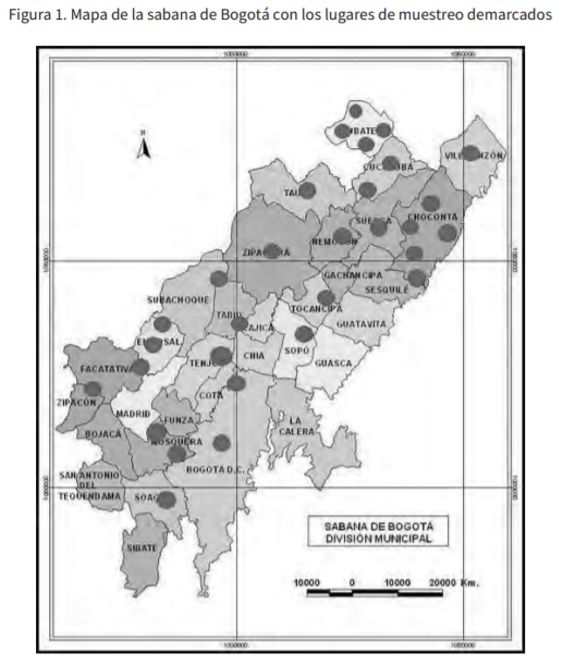 Identificación de factores asociados con la exposición al virus de la diarrea viral bovina (VDVB) en terneras de hatos lecheros de la sabana de Bogotá - Image 1