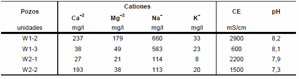 Composición catiónica en agua de poro, suelo y agua subterránea en hapludles bajo feedlot - Image 8