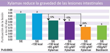 La eficacia de Xylamax en el desempeño comercial de pollos de engorde. - Image 3