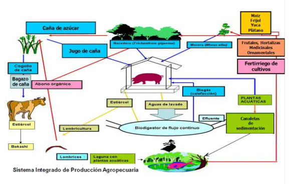 BOTERO - CAPÍTULO IX PASTOREO RACIONAL INTENSIVO VOISIN UNA OPCIÓN PARA INTENSIFICAR Y HACER MÁS AMIGABLE CON EL AMBIENTE LA PRODUCCIÓN CON RUMIANTES EN PASTOREO EN EL TRÓPICO - Image 46