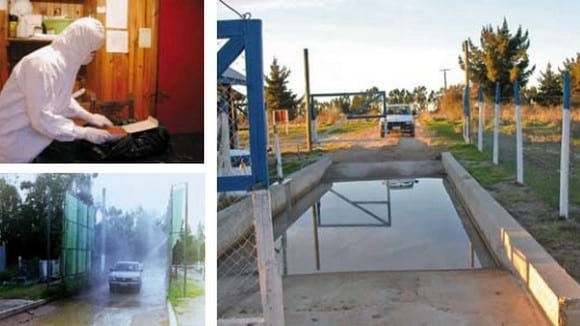Los 7 hábitos de una buena bioseguridad - Image 3