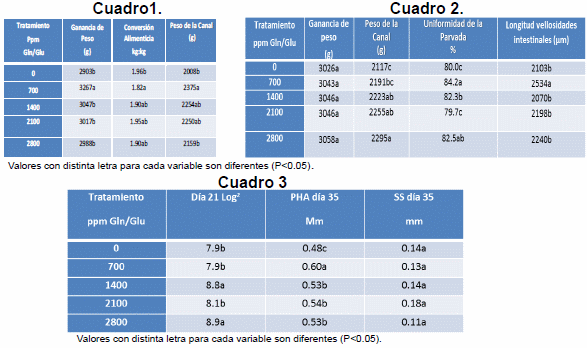Efecto de la adición de L-Glutamina (Gln) + L-Ácido Glutámico (Glu), en dietas de pollo de engorda sobre la inmunidad, integridad intestinal y comportamiento productivo. - Image 2
