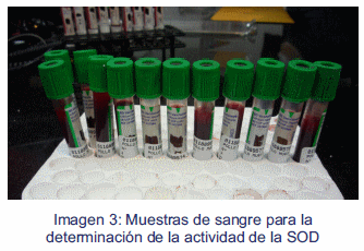 Efecto de la suplementación de aceite esencial de orégano sobre el estado antioxidante de pollos de carne - Image 3