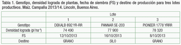 Análisis de ensayos en franjas para la fertilización variable de nitrógeno - Image 2