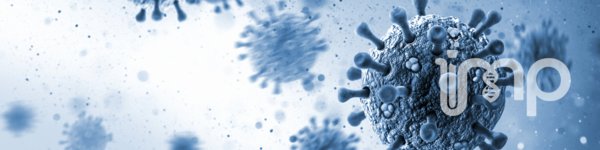 Influenza aviar - Image 1