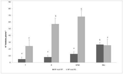 Figura 2. Número de nódulos en raíces primarias (RP) y secundarias (RS).