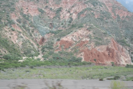 UNA OPCIÓN PARA INTENSIFICAR Y HACER MÁS AMIGABLE CON EL AMBIENTE LA PRODUCCIÓN CON RUMIANTES EN PASTOREO EN EL TRÓPICO 