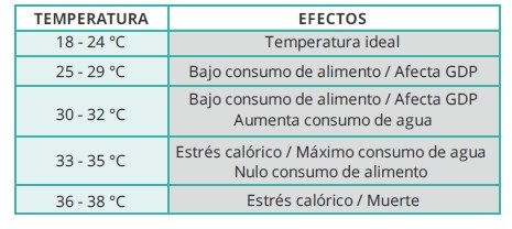 Estrés calórico en aves - Image 1