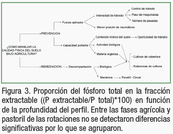 Pérdidas de fósforo total de suelos pampeanos inducidas por el uso agrícola - Image 3