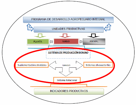 Sistemas de producción bovino para el mejoramiento de los indicadores productivos: una alternativa viable - Image 2