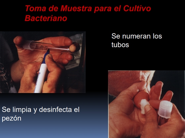 Lista de control para la visita al establo lechero toma correcta de muestras - Image 17