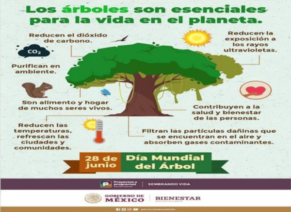 UNA OPCIÓN PARA INTENSIFICAR Y HACER MÁS AMIGABLE CON EL AMBIENTE LA PRODUCCIÓN CON RUMIANTES EN PASTOREO EN EL TRÓPICO 
