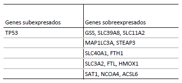 Tabla 2. Genes sub y sobre expresados, pertenecientes a la vía ferroptótica, observados en animales del grupo BAJA actividad enzimática.