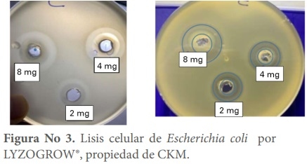 CMK y la vision hacia la inocuidad alimentaria y las bacterias multirresistentes - Image 9