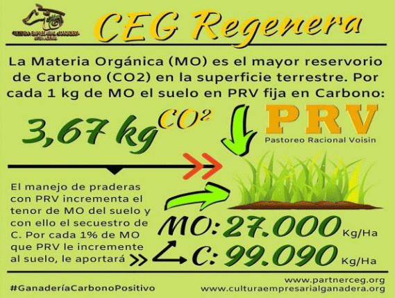 BOTERO - CAPÍTULO IX PASTOREO RACIONAL INTENSIVO VOISIN UNA OPCIÓN PARA INTENSIFICAR Y HACER MÁS AMIGABLE CON EL AMBIENTE LA PRODUCCIÓN CON RUMIANTES EN PASTOREO EN EL TRÓPICO - Image 13