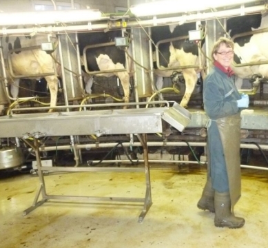 La Mastitis un problema del hato la visita al establo. - Image 22