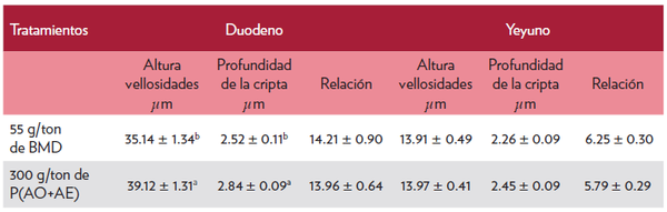 Ácidos orgánicos y aceites esenciales protegidos para avicultura y su efecto en la Morfologia intestinal en los primeros 15 días de pollos de engorde vs Promotores estandar - Image 3