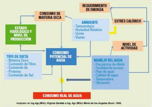 BOTERO - CAPÍTULO IX PASTOREO RACIONAL INTENSIVO VOISIN UNA OPCIÓN PARA INTENSIFICAR Y HACER MÁS AMIGABLE CON EL AMBIENTE LA PRODUCCIÓN CON RUMIANTES EN PASTOREO EN EL TRÓPICO - Image 37