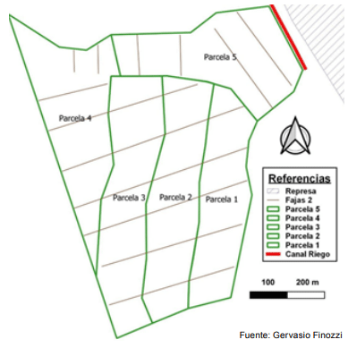 Figura 4 - Parcelas de pastoreo.