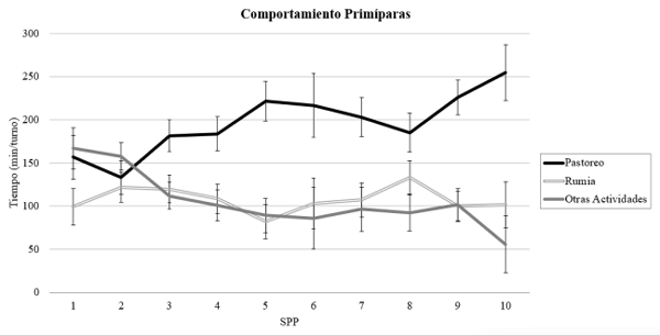 Figura 1: Evolución del tiempo dedicado al pastoreo, rumia y otras actividades durante las diez semanas postparto (SPP) tanto para vacas primíparas (arriba) como multíparas (abajo).
