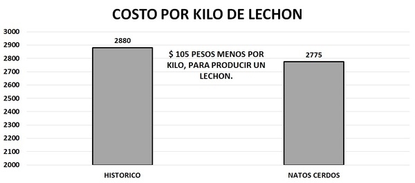 Caso de éxito con Natbio Natos C® como modulador de la flora intestinal y estimulador del apetito en cerdos - Image 6