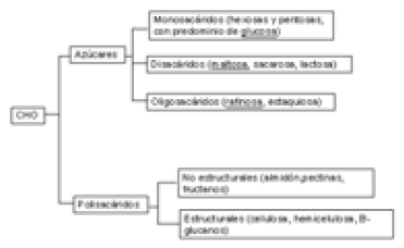 Figura 1. Principales carbohidratos constituyentes de los alimentos.