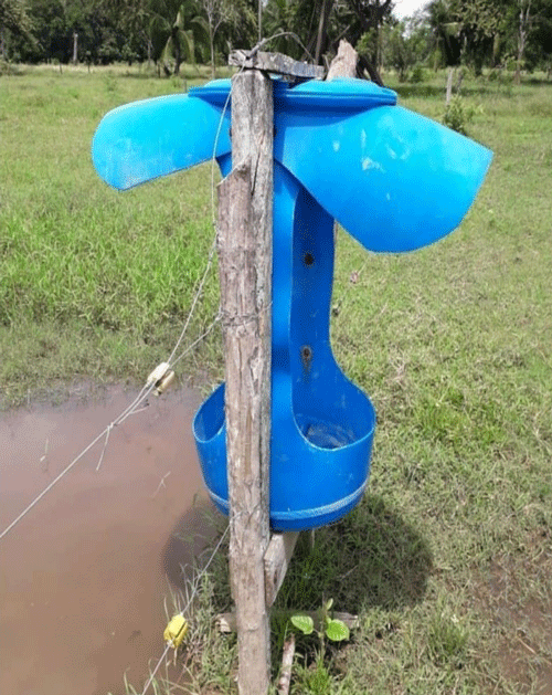 FOTOGRAFÍA 3b. Saladero movible para dos divisiones o apartos simultáneos. FUENTE: Imágenes sobre diseños de accesorios para corrales y animales.