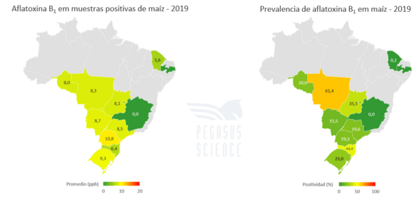 Micotoxinas en maíz: Brasil año 2019 - Image 4