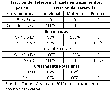 Cruzamientos - Image 5