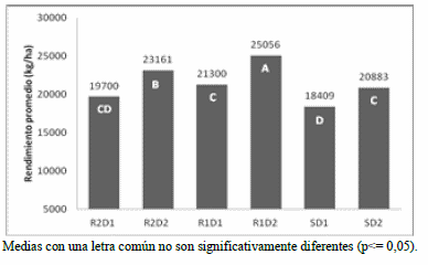 Utilización de tecnologías como riego y densidad de plantas en producción de forraje de maíz para silaje en Río Cuarto, Argentina - Image 1