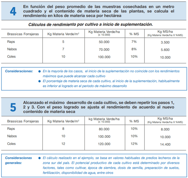 FORRAJERAS - Determinaciones en praderas y cultivos suplementarios - Image 11