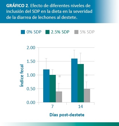 Cómo mejorar los parámetros productivos para aprovechar la mejora económica del mercado porcino mundial - Image 2