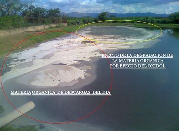 Tratamiento de lagunas de matadero de aves con Oxynova - Image 17