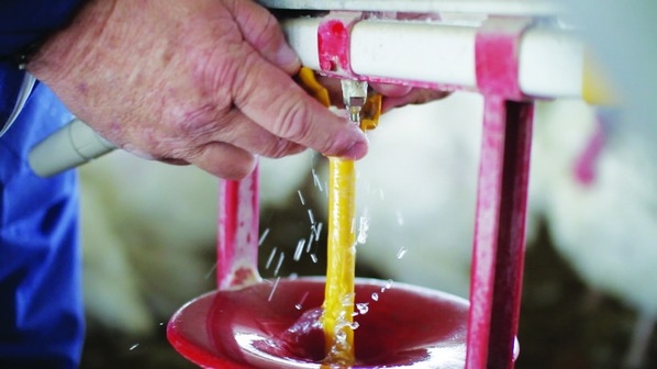 Tres programas comunes de saneamiento del agua - Image 1