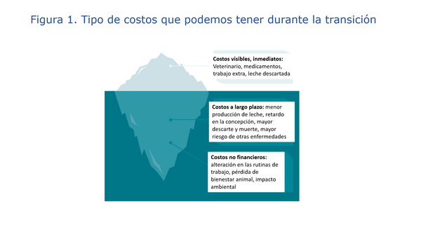 CONVERTIR A LA TRANSICIÓN EN UNA OPORTUNIDAD - Image 3