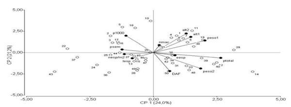 Figura 1. Biplot correspondiente al análisis de componentes principales para las 44 FMH y las doce variables estudiadas. Variables: número de macollos (nmac), altura de la planta (alt), peso de materia seca aérea (p1 y p2), producción total de forraje (Ptotal), días a inicio de floración (DAF), número de espigas por m2 (esp/m2), espiguillas por espiga (esp/esp), largo de espigas (lesp: cm), peso de semillas (Psem) y peso de mil semillas (P100)