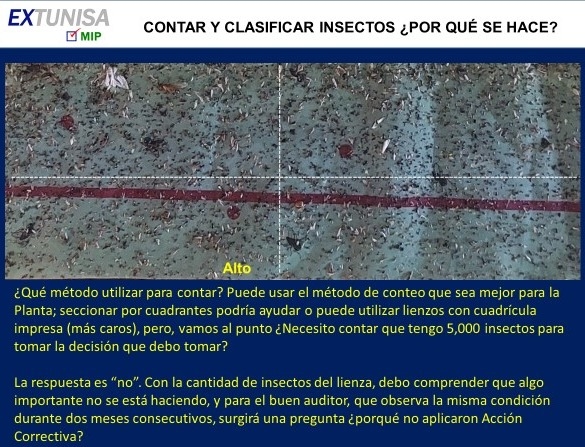 Lámparas UV: Clasificación y conteo de Insectos - Image 3