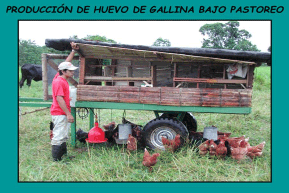 BOTERO - CAPÍTULO VI: PRODUCCIÓN DE ABONOS ORGÁNICOS, COMO ESTRATÉGIA PARA REDUCIR LA CONTAMINACIÓN AMBIENTAL COMO PRODUCTO DE LA GANADERÍA TROPICAL OPCIONES PARA EL MANEJO PRODUCTIVO DE EXCRETAS EN SISTEMAS GANADEROS TROPICALES - Image 3