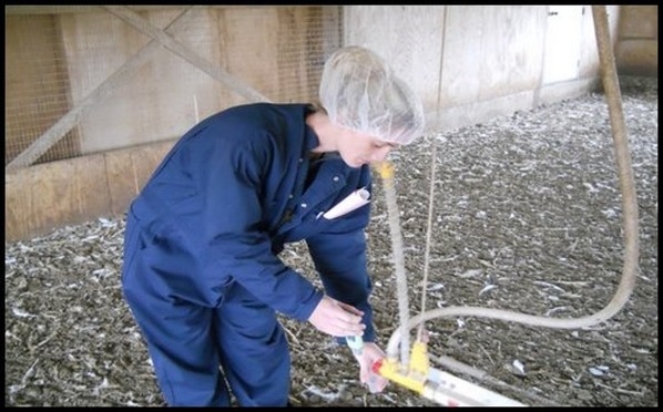 Tres programas comunes de saneamiento del agua - Image 2