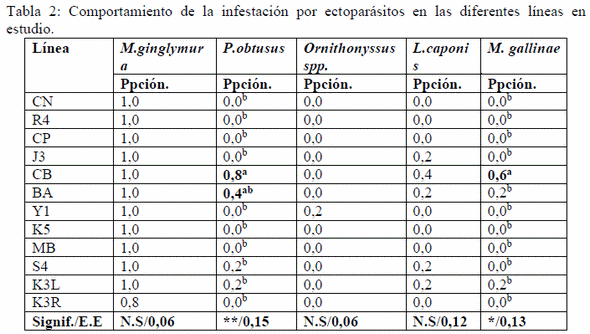 Comportamiento de los parásitos externos en aves (Gallus gallus) de diferentes líneas puras - Image 2