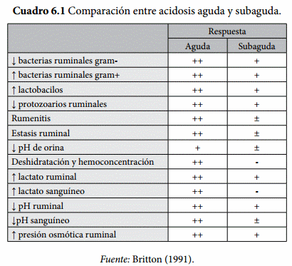 Acidosis: ¿Principal problema metabólico en engorda? - Image 1