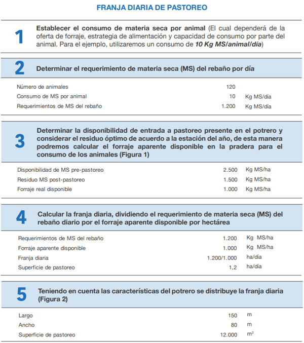 FORRAJERAS - Determinaciones en praderas y cultivos suplementarios - Image 6