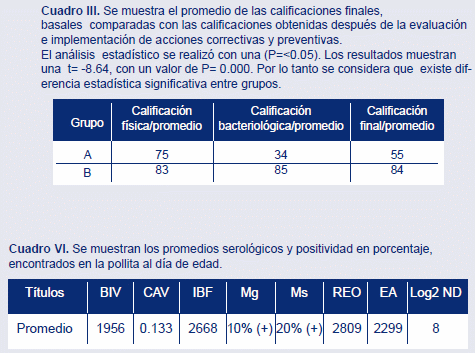 Evaluación de la calidad en pollita ligera al día de edad - Image 4